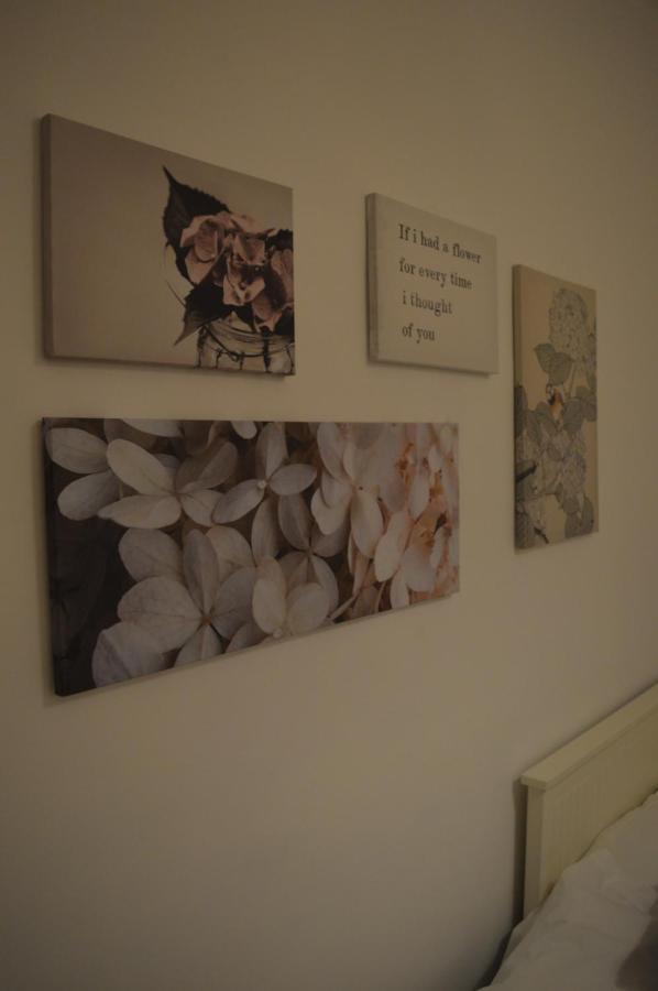 Wish Salado De Apartment Seville